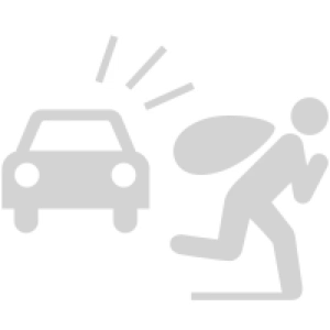 Robo Total de Vehículo